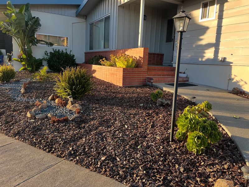 Choosing The Wrong Mulch For Fire-Prone Areas