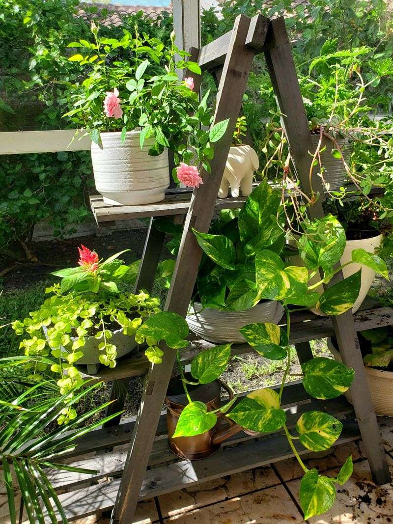 Grouping Plants