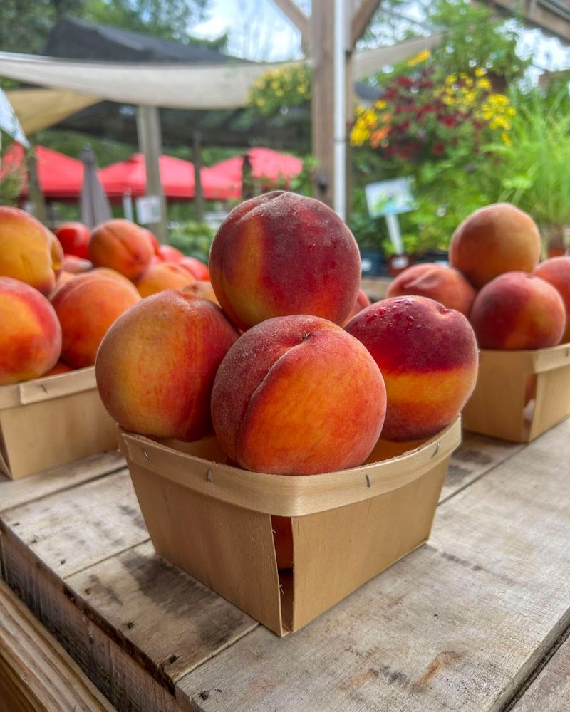 Peaches