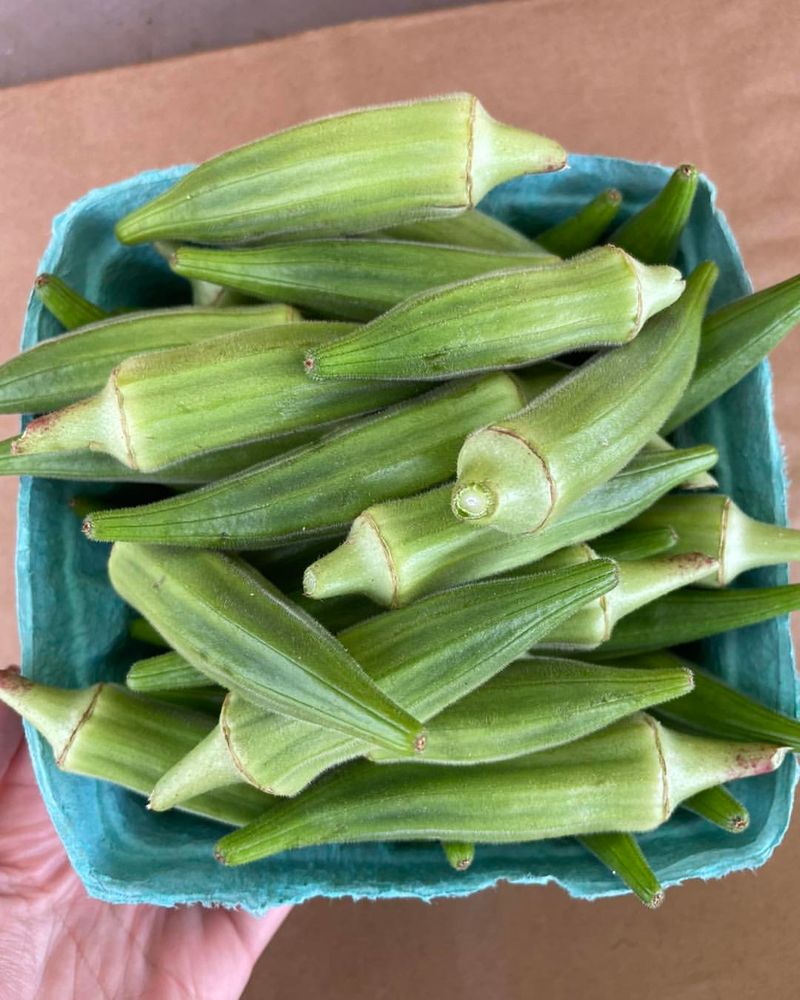 Okra