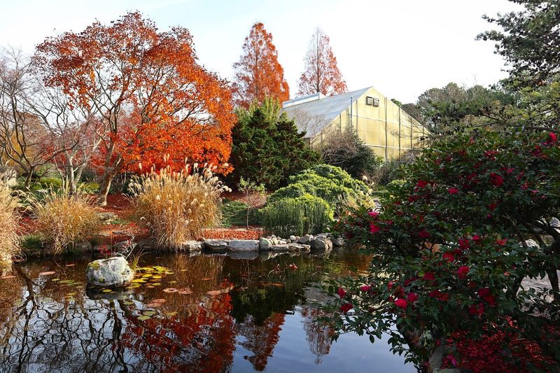 Mirror Lake & Japanese Garden