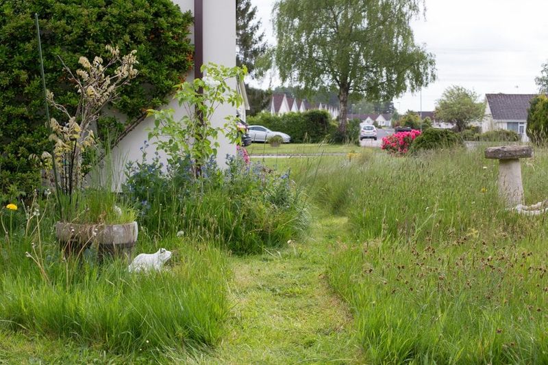 Large Lawns Without Designated Wildlife Areas