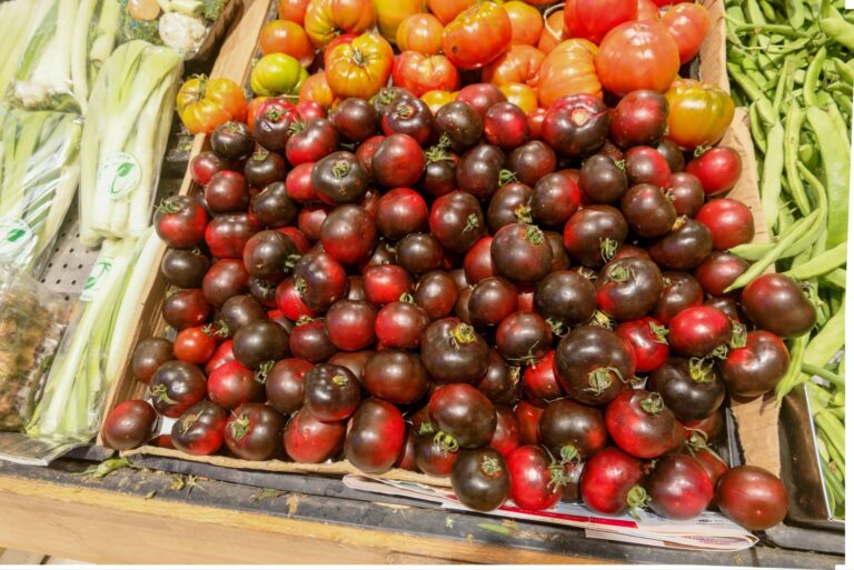 Cherokee Purple Tomato.