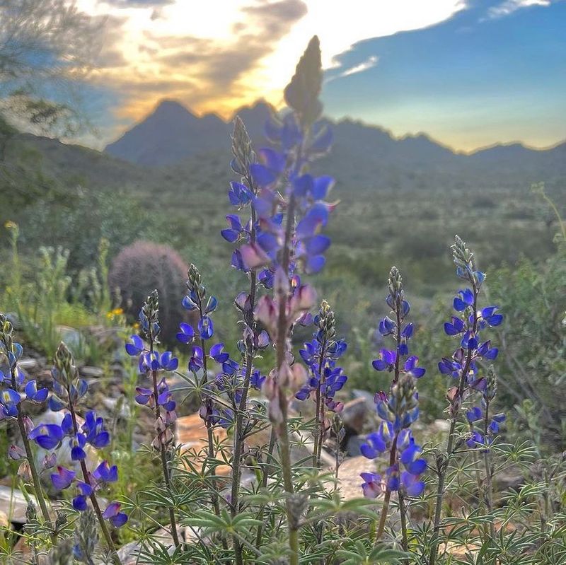 Phoenix's Brutal Summer Heat Becomes Manageable