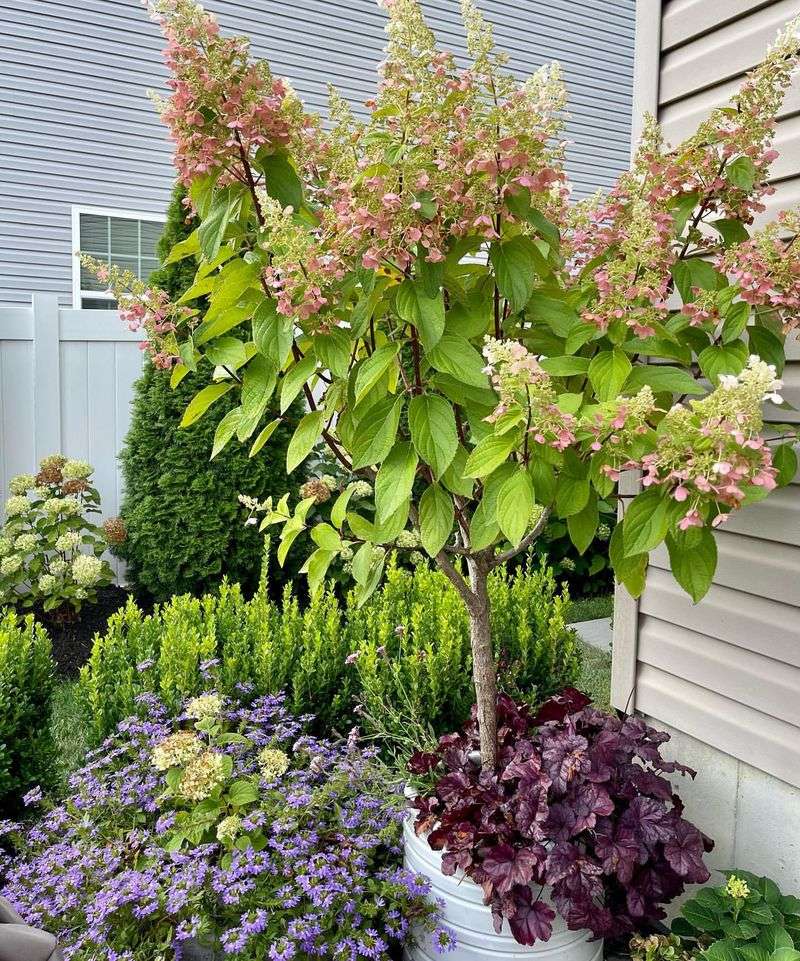 Best Planting Time Isn't When You Think