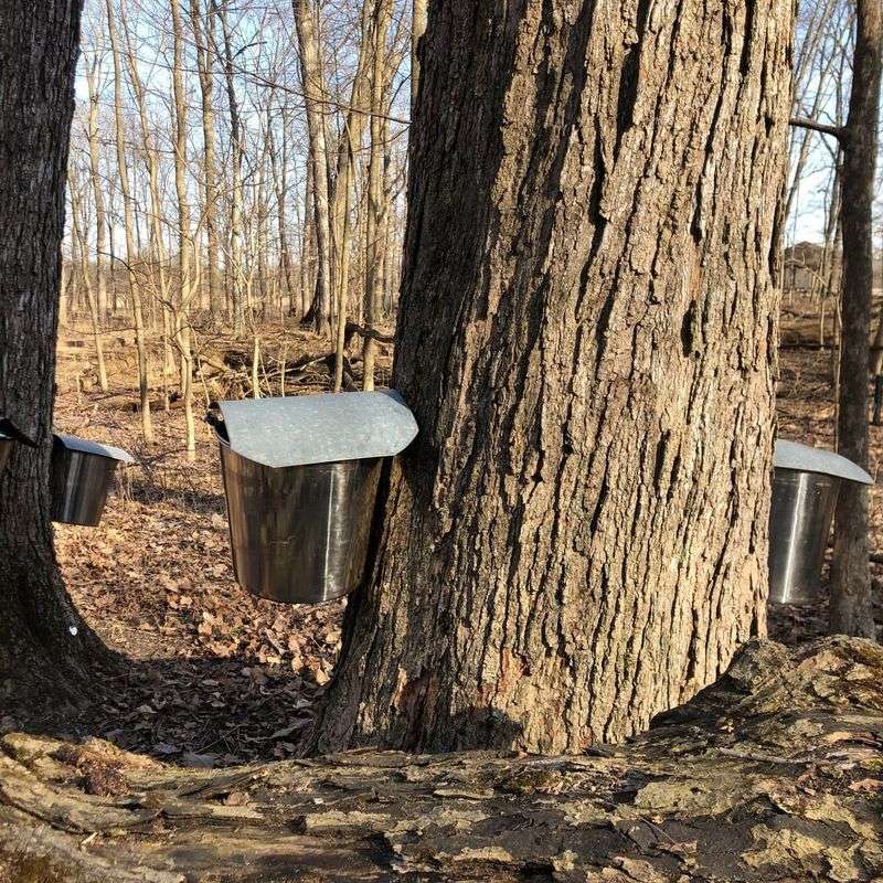 Wildlife-Friendly Water Solution