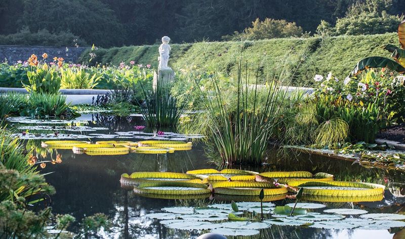 Water Features With Ecological Purpose