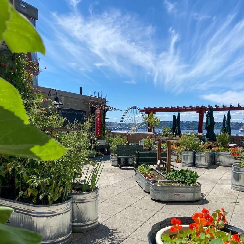 Quiet Garden Seating Spots Amid The Crowds