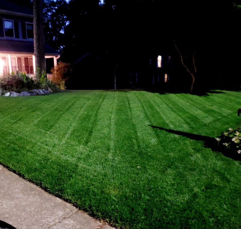 Less Lawn Traffic