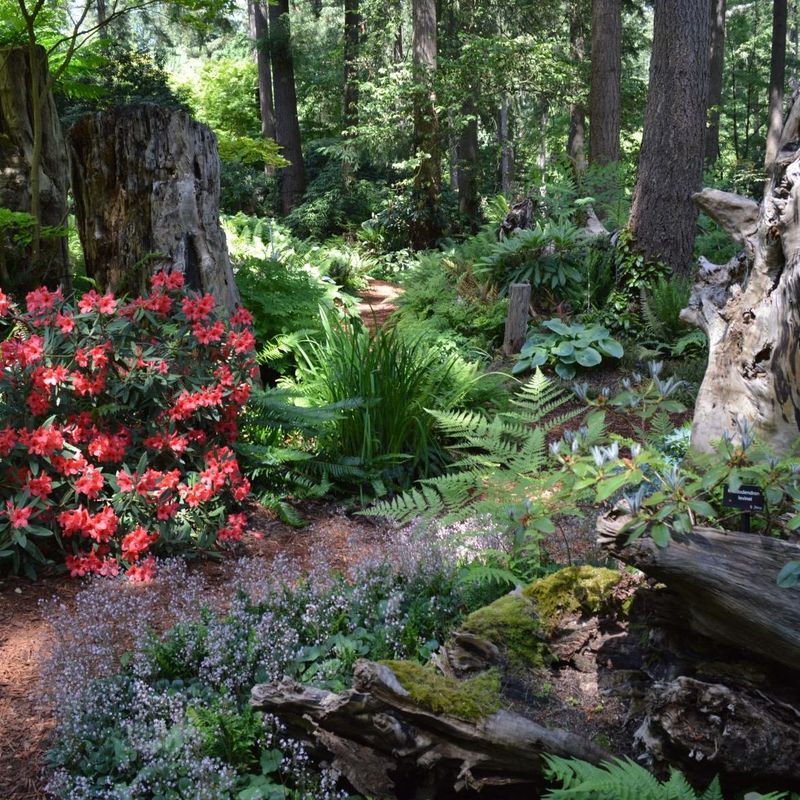 Drought-Resistant Gardening Feature