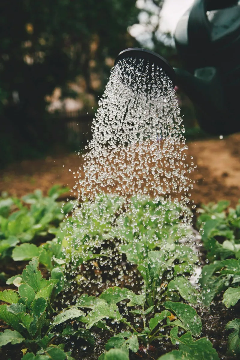 Water Conservation During Drought Seasons