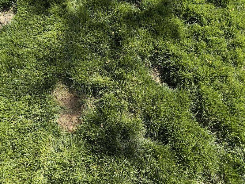 Soil Health Enhancement