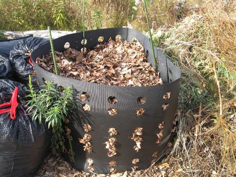 Compost Creation Opportunity