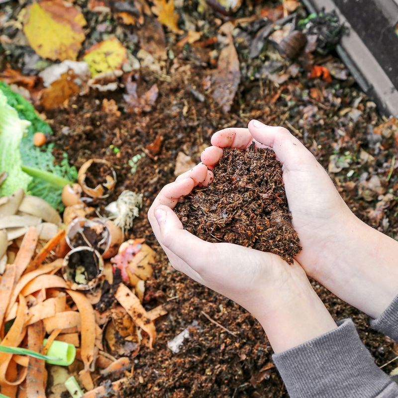 Compost Accelerators