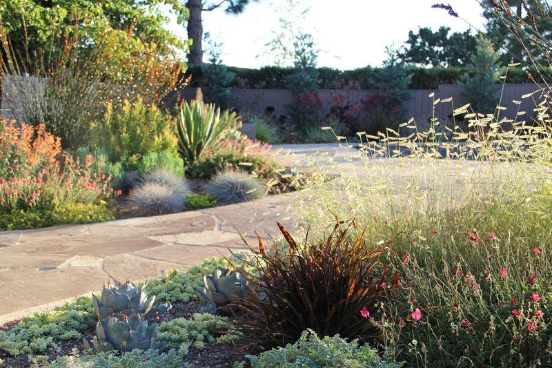 Drought-Resistant Super Powers