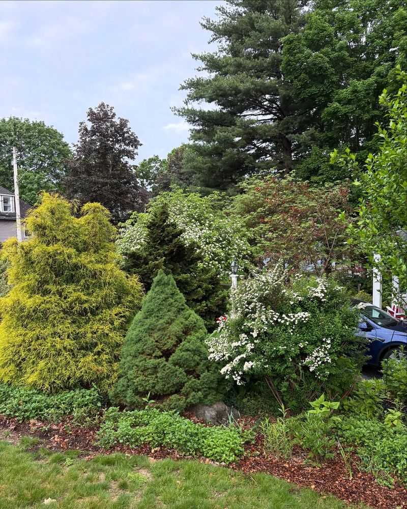 Pruning Shrubs at the Wrong Time