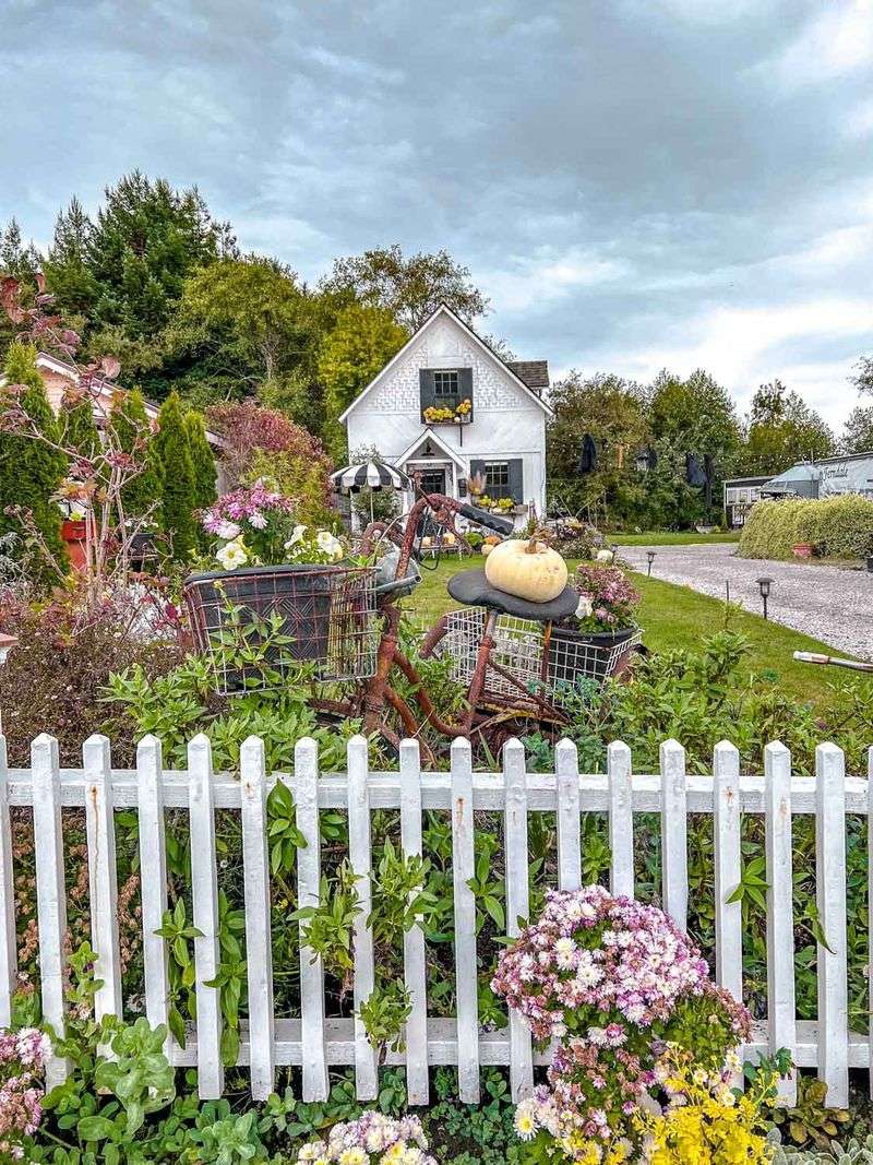 Ferndale's Victorian Rose Heritage