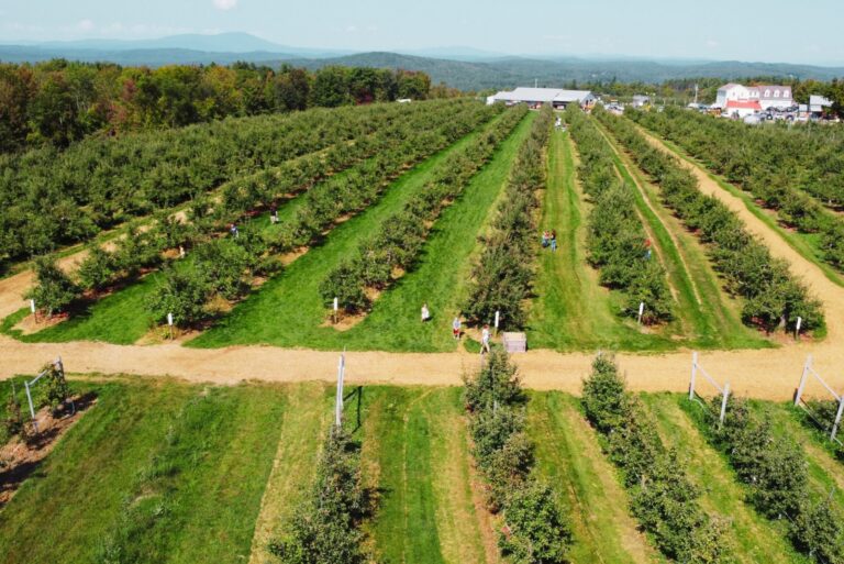 Aerial view of New England Apple Orchard