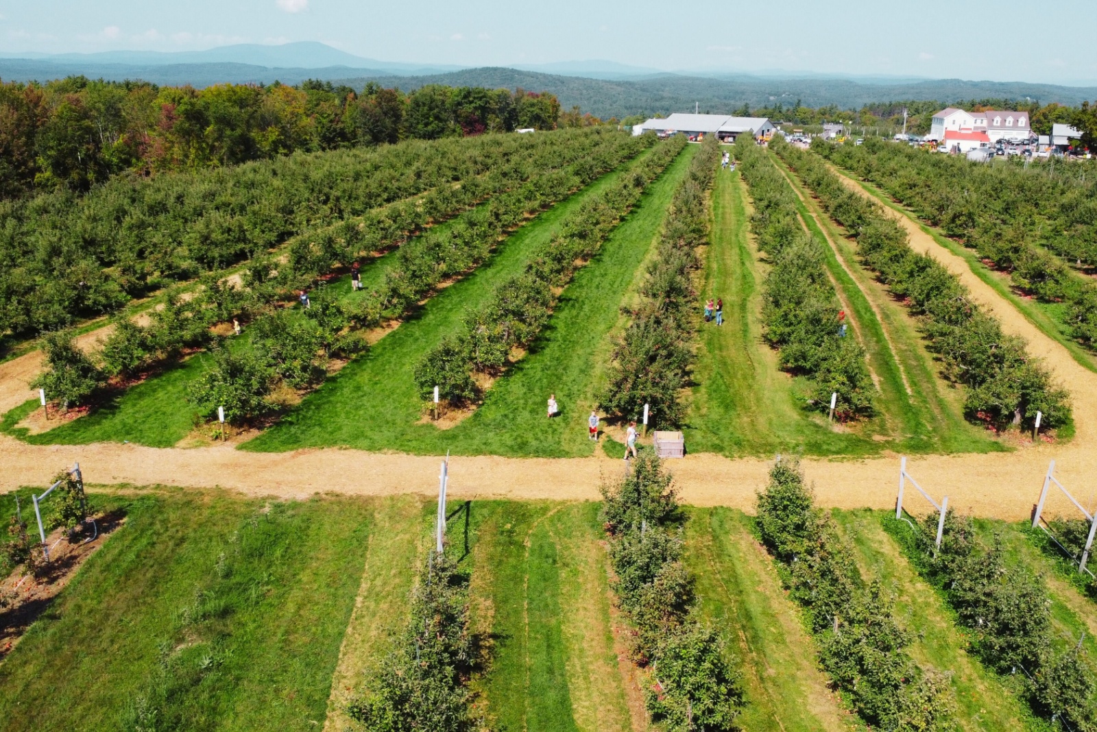 New England Villages Wrapped In Apple Orchards Perfect For Fall Trips