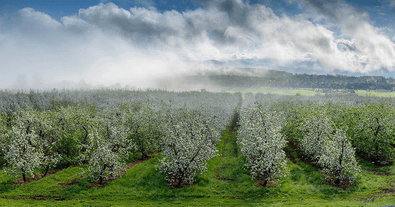 Woodstock, Vermont's Apple Haven