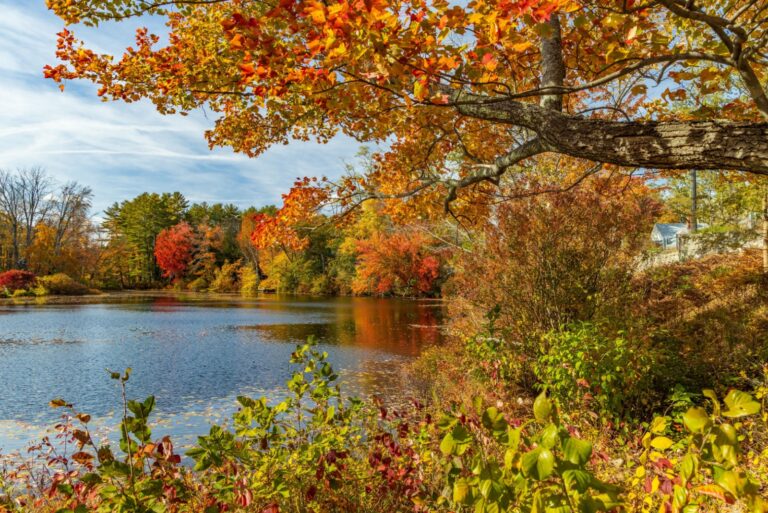 New Hampshire Chocorua Village Chocorua Park
