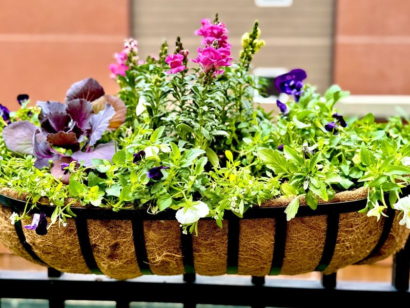 Choose the Right Containers