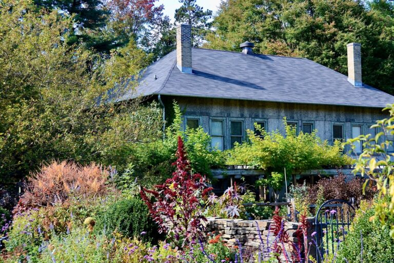 Botanical garden and the Welcome building