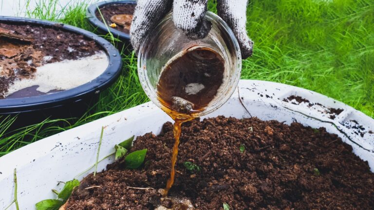 homemade soil booster