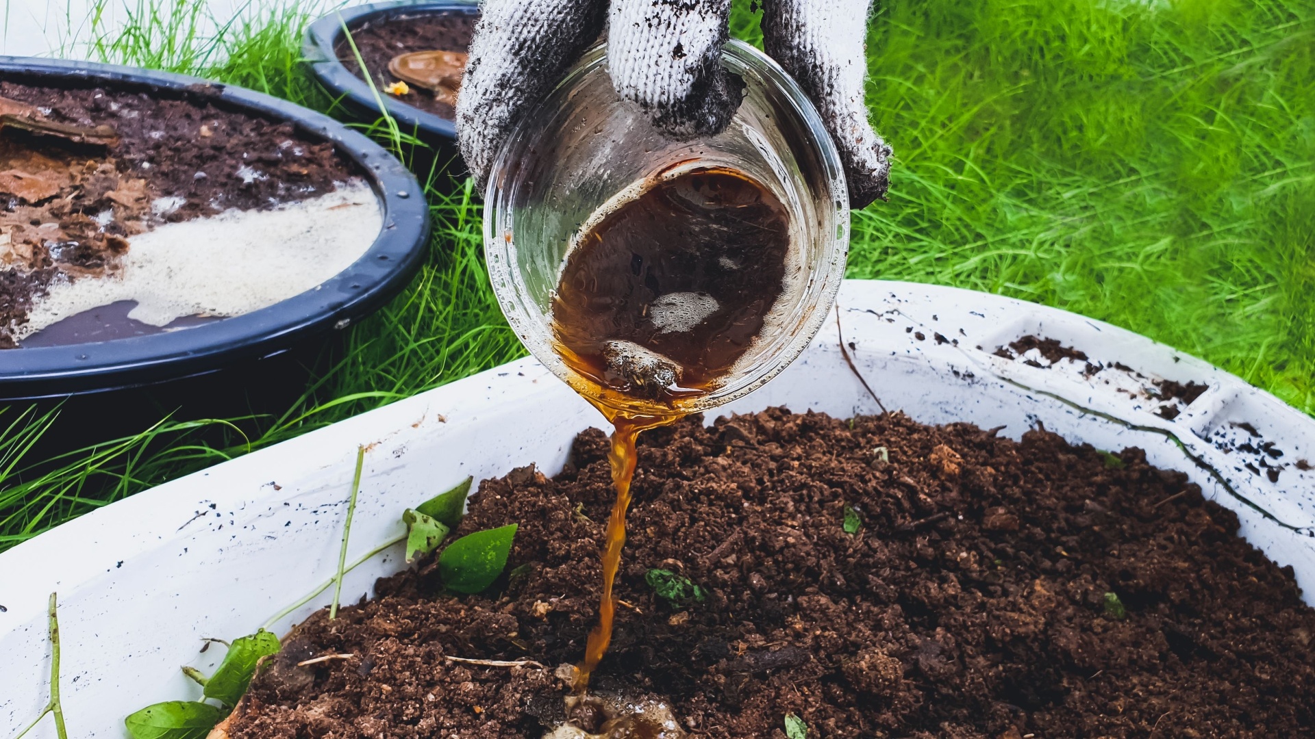New Yorkers Are Obsessed With This Grocery Store Hacks For Healthy Soil