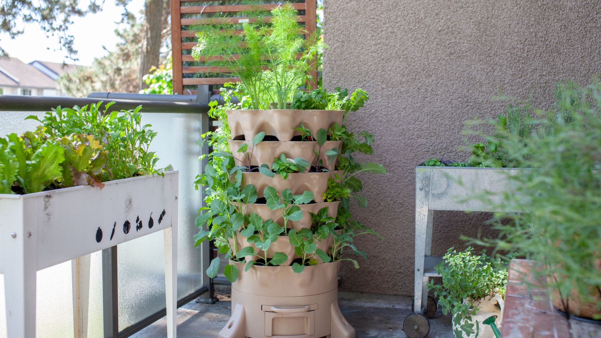 New Yorkers Are Turning Tiny Balconies Into Edible Gardens—Here’s How