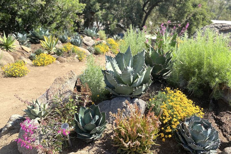 Mexican Garden: Mesoamerican Marvels