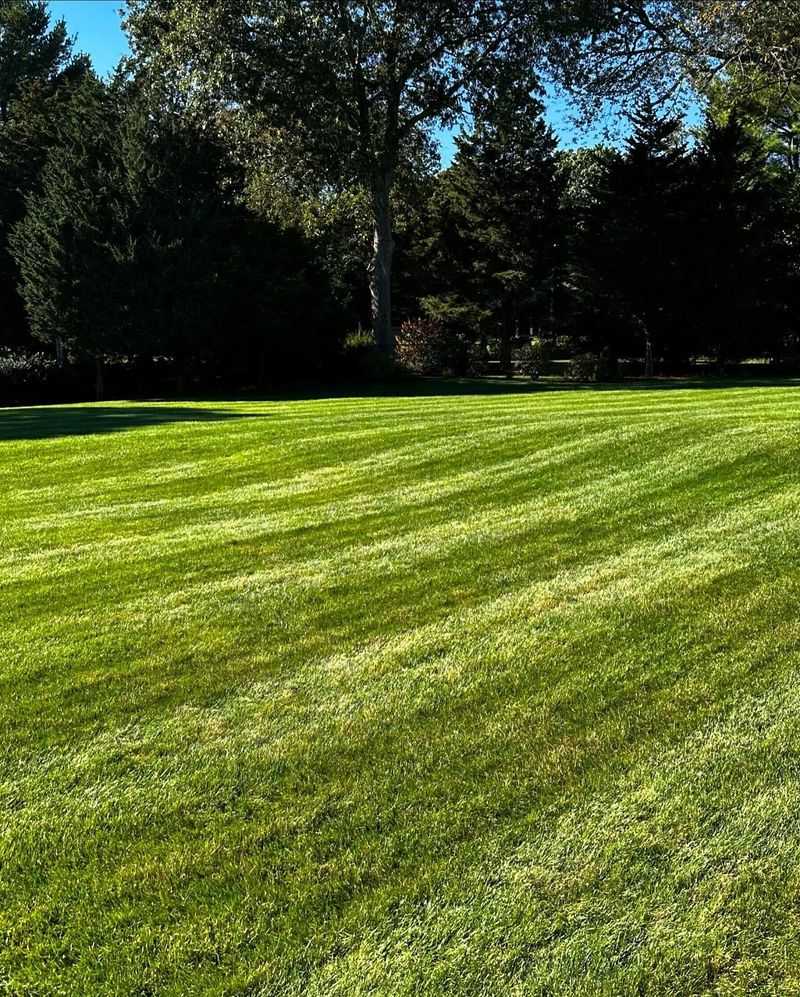 Maintain Tidy Landscapes Without Dense Hiding Spots