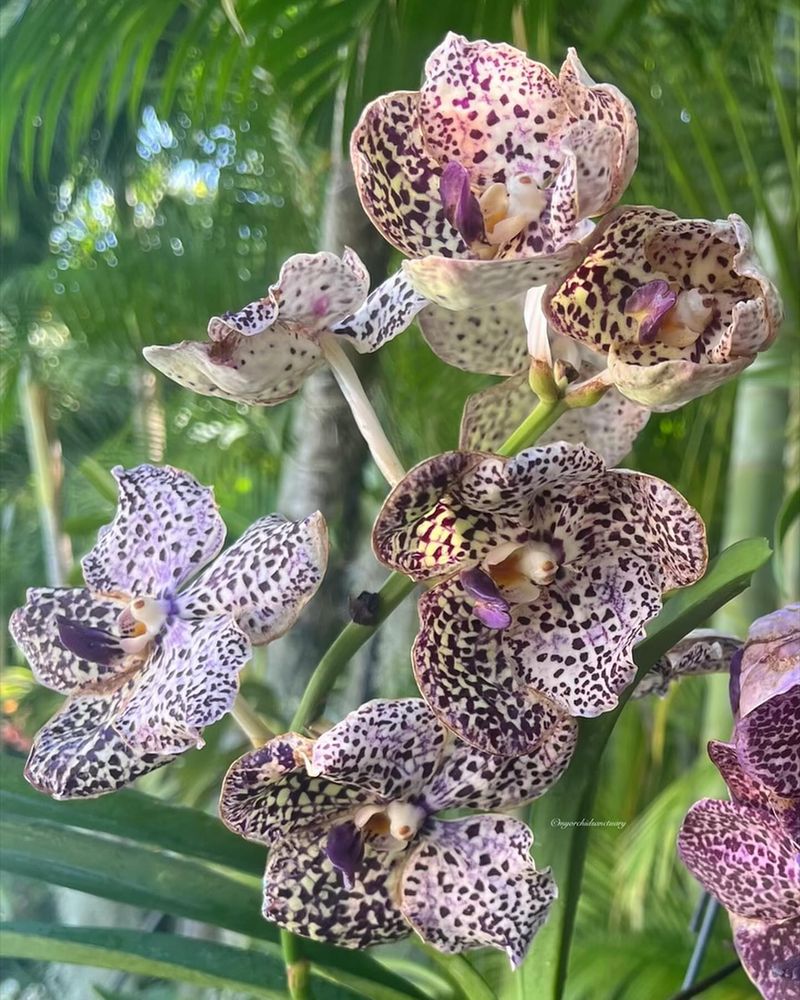 Bloom Spike Protection