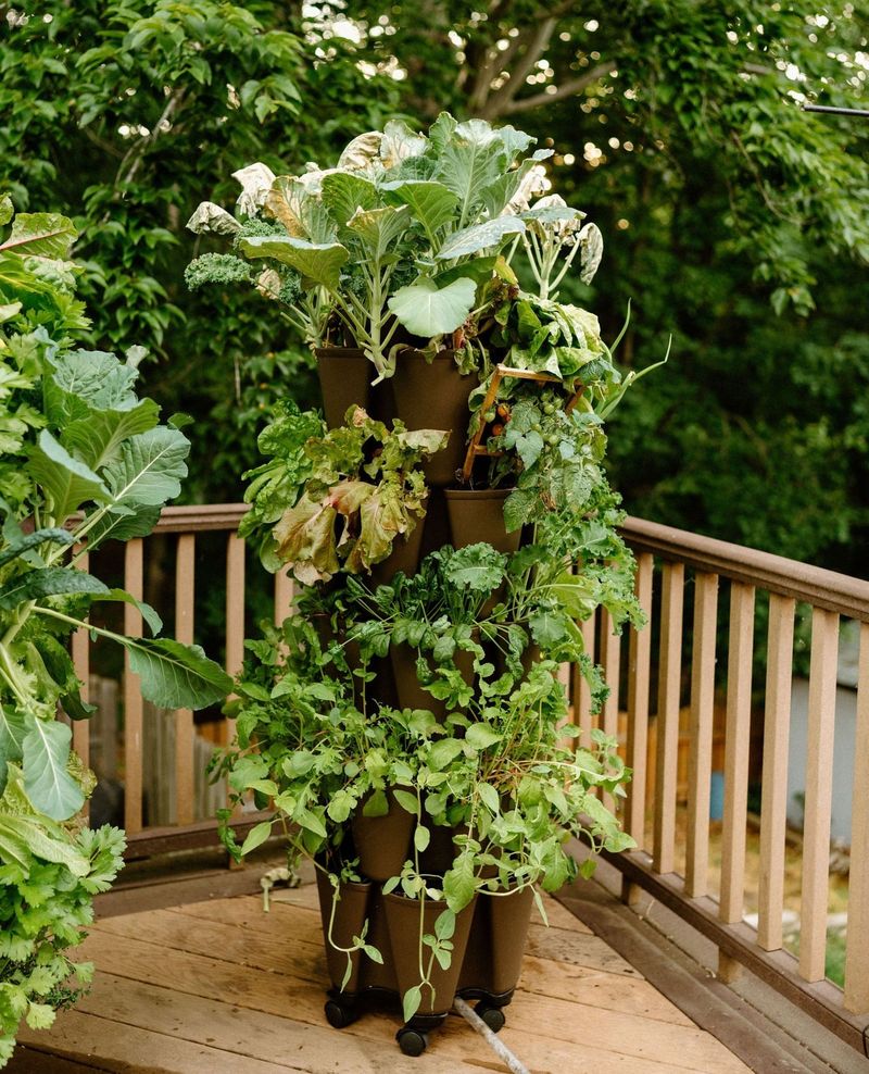 Space-Efficient Food Production for Urban Homesteaders