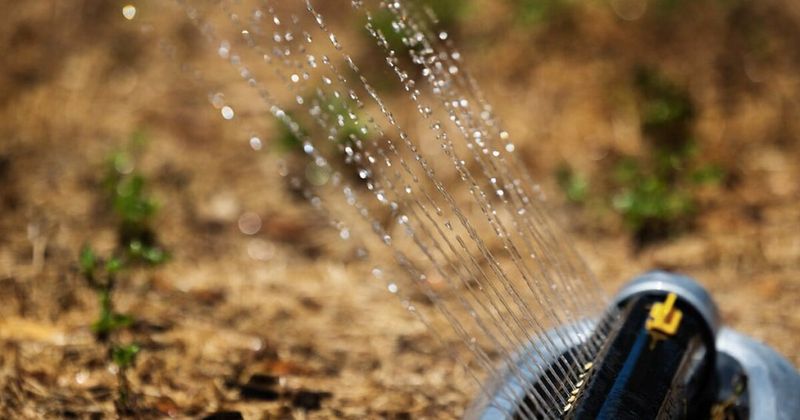 Water-Hungry Lawn Sprayers