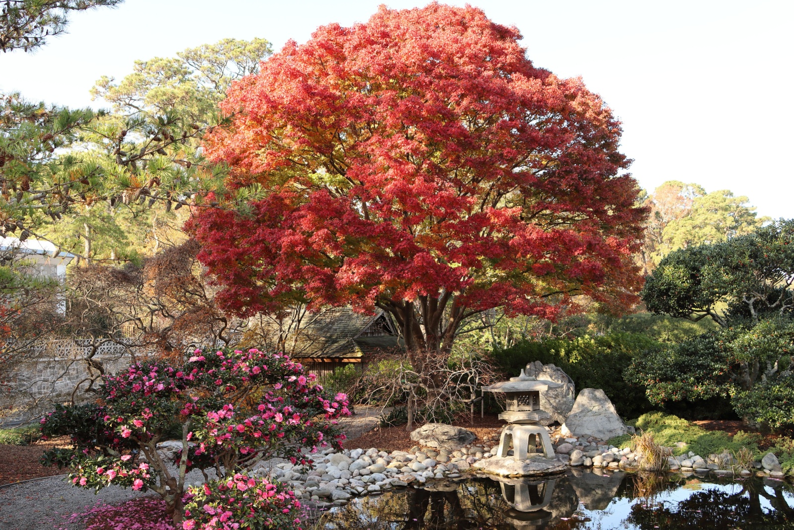 norfolk botanical garden virginia