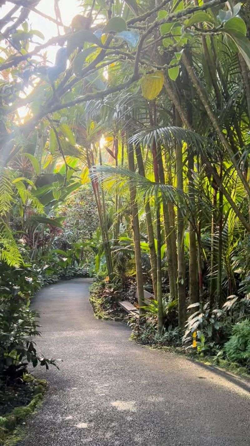 Biophilia: Our Innate Connection to Nature