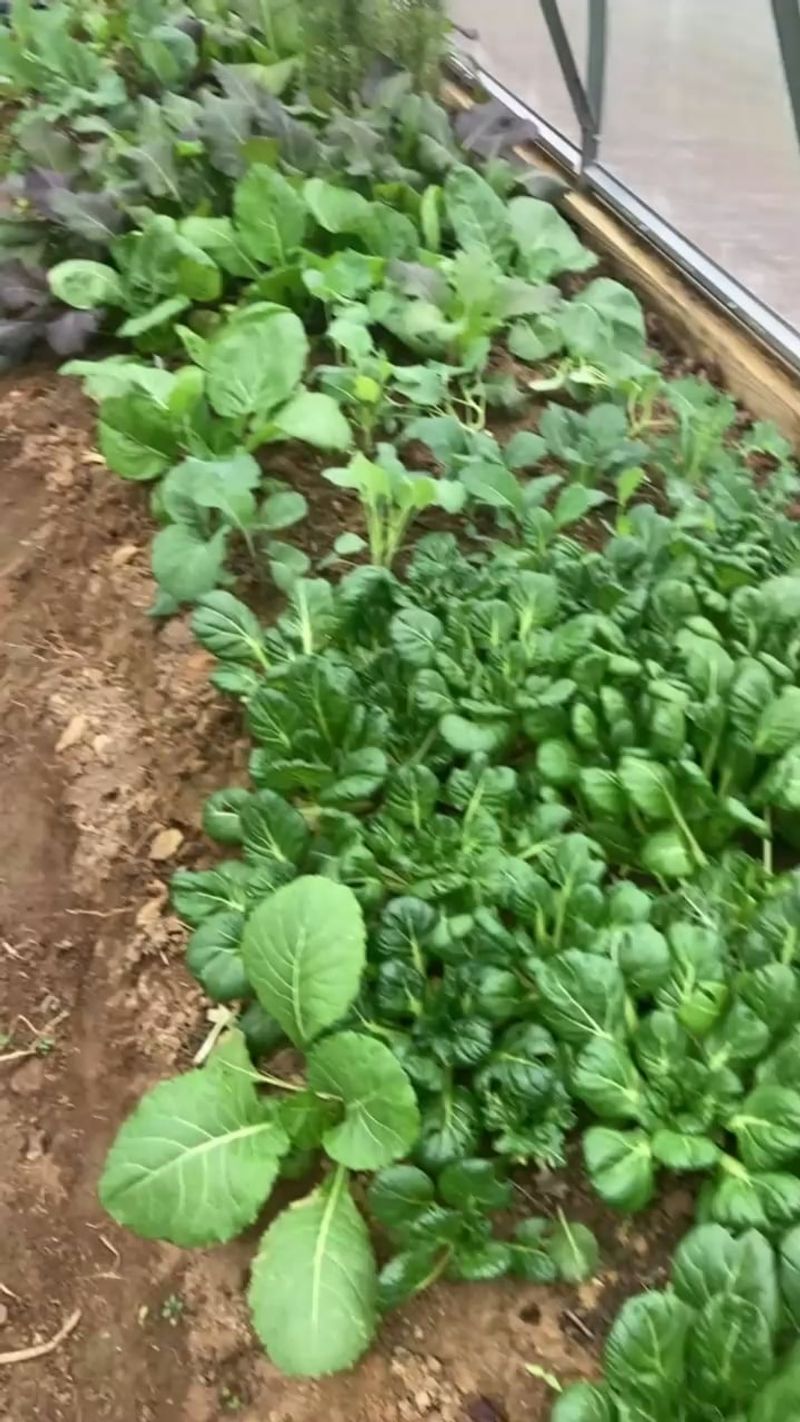 Soil Improvement