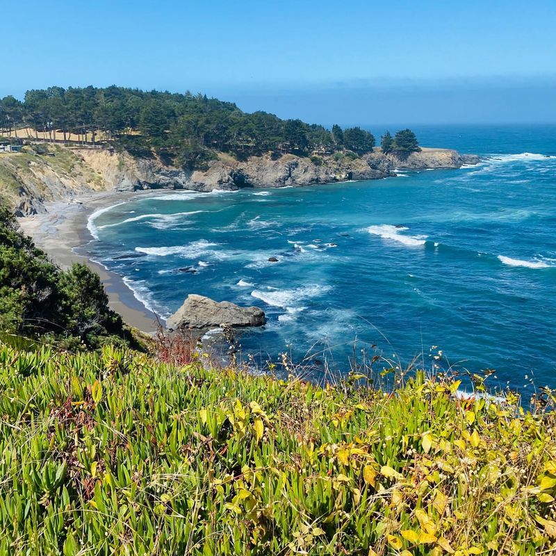 Mendocino's Coastal Rose Haven