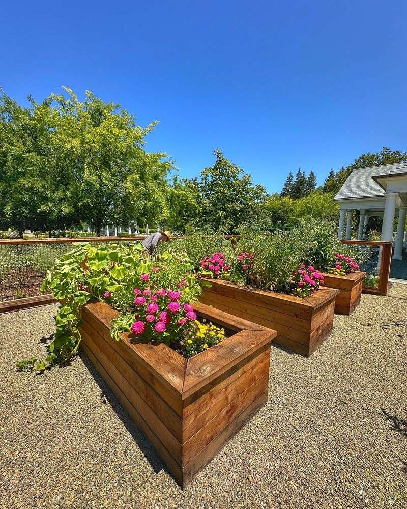 Front Yard Vegetable Gardens
