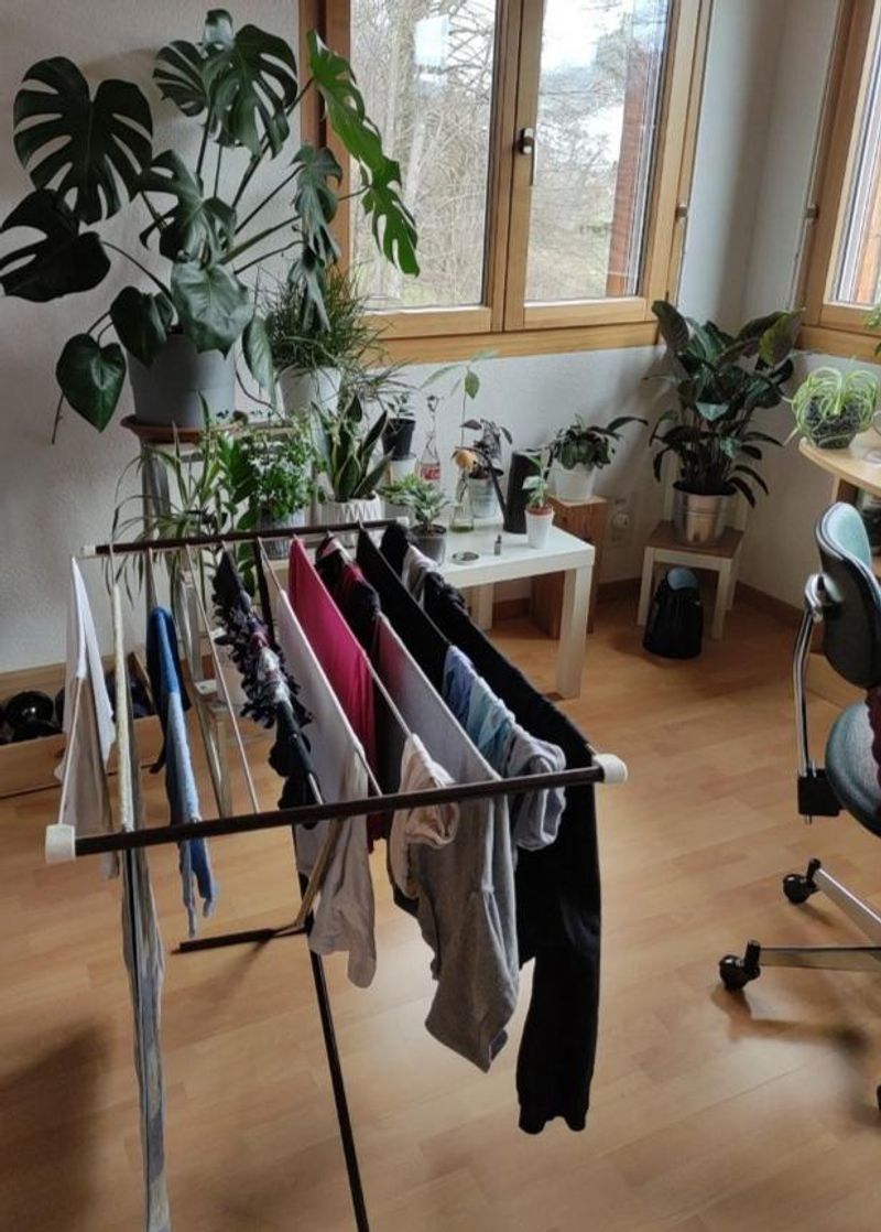 Indoor Clothesline Drying