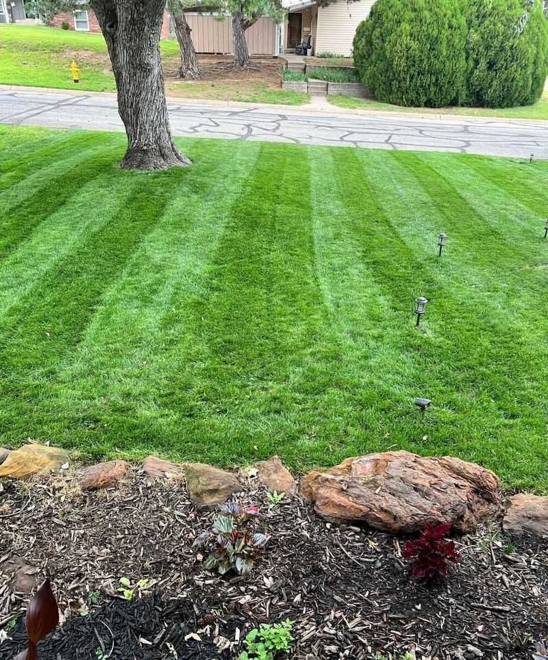 Easier Lawn Maintenance Schedule