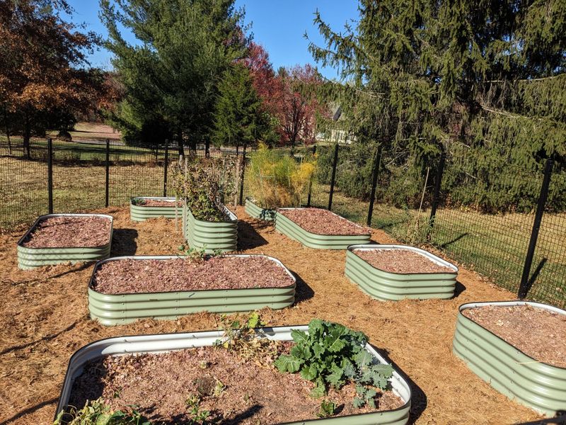 Create Custom Growing Recipes For Boston-Specific Varieties