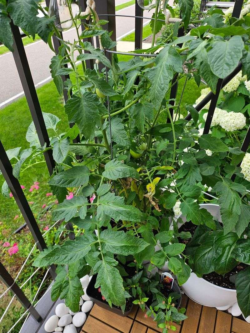 Build Supportive Gardening Relationships