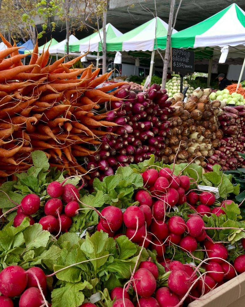 Root Vegetables With Farm-To-Table Character