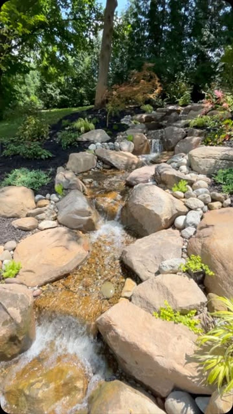 Woodland Stream