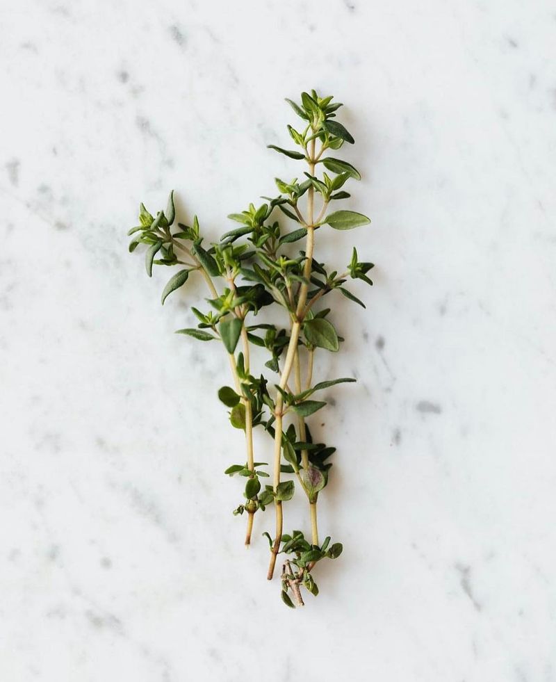Thyme