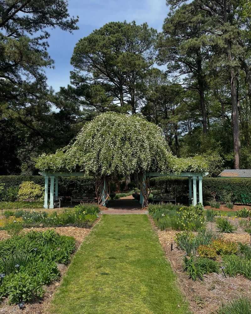 Historic Tree Collection