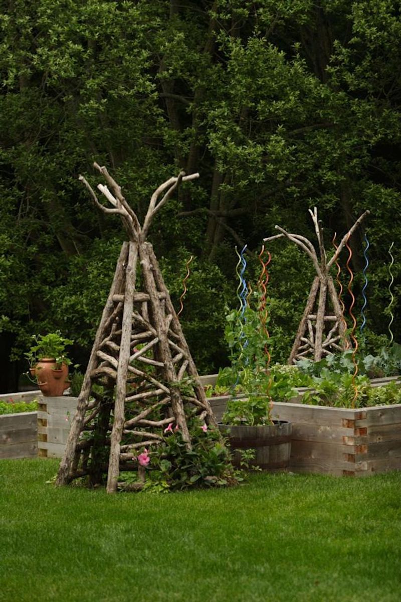 Hammock Stand Cucumber Arch