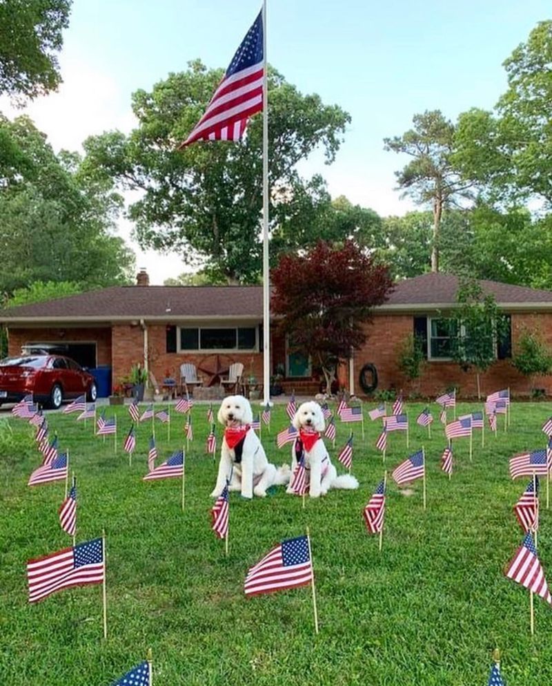 Cluttered Political Signs